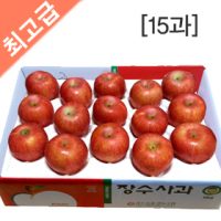 장수사과 부사 5kg(15과)