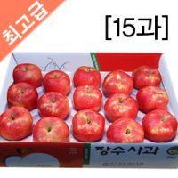 장수사과5kg(15과) 