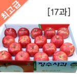 장수사과 부사 5kg(17과)  사과 5kg/사과 10kg/과일선물/햇사과/선물용사과/과수농가직판