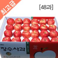 장수사과 미니 부사 10kg (48과) 사과 5kg/사과 10kg/과일선물/햇사과/선물용사과/과수농가직판