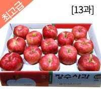 장수사과 5kg(13과)